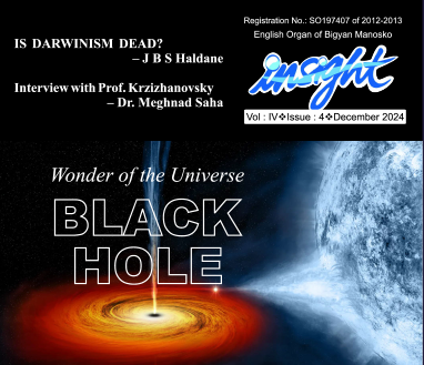 INSIGHT Volume 4 2024